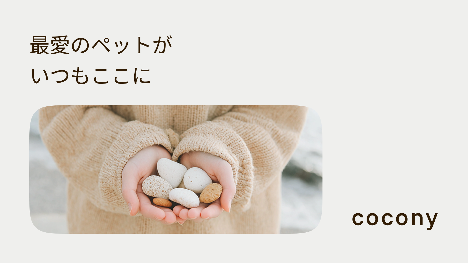 cocony